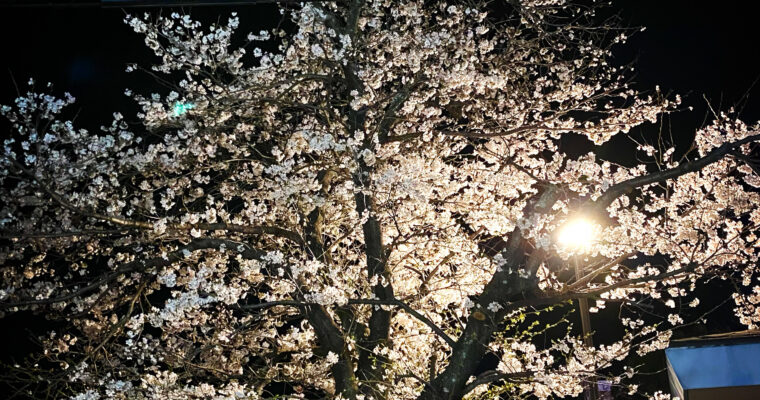 特別な日