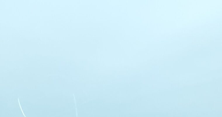 弟の命日と港の女。