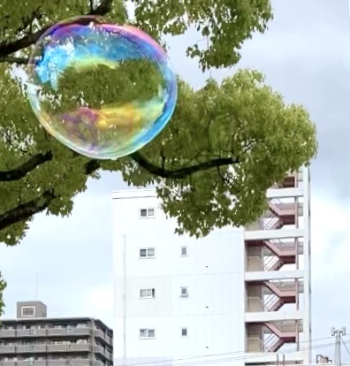 奇跡と偶然の星