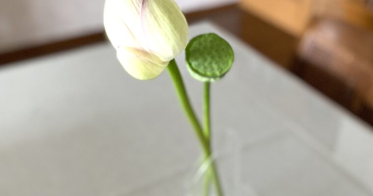 すぐ先から・・