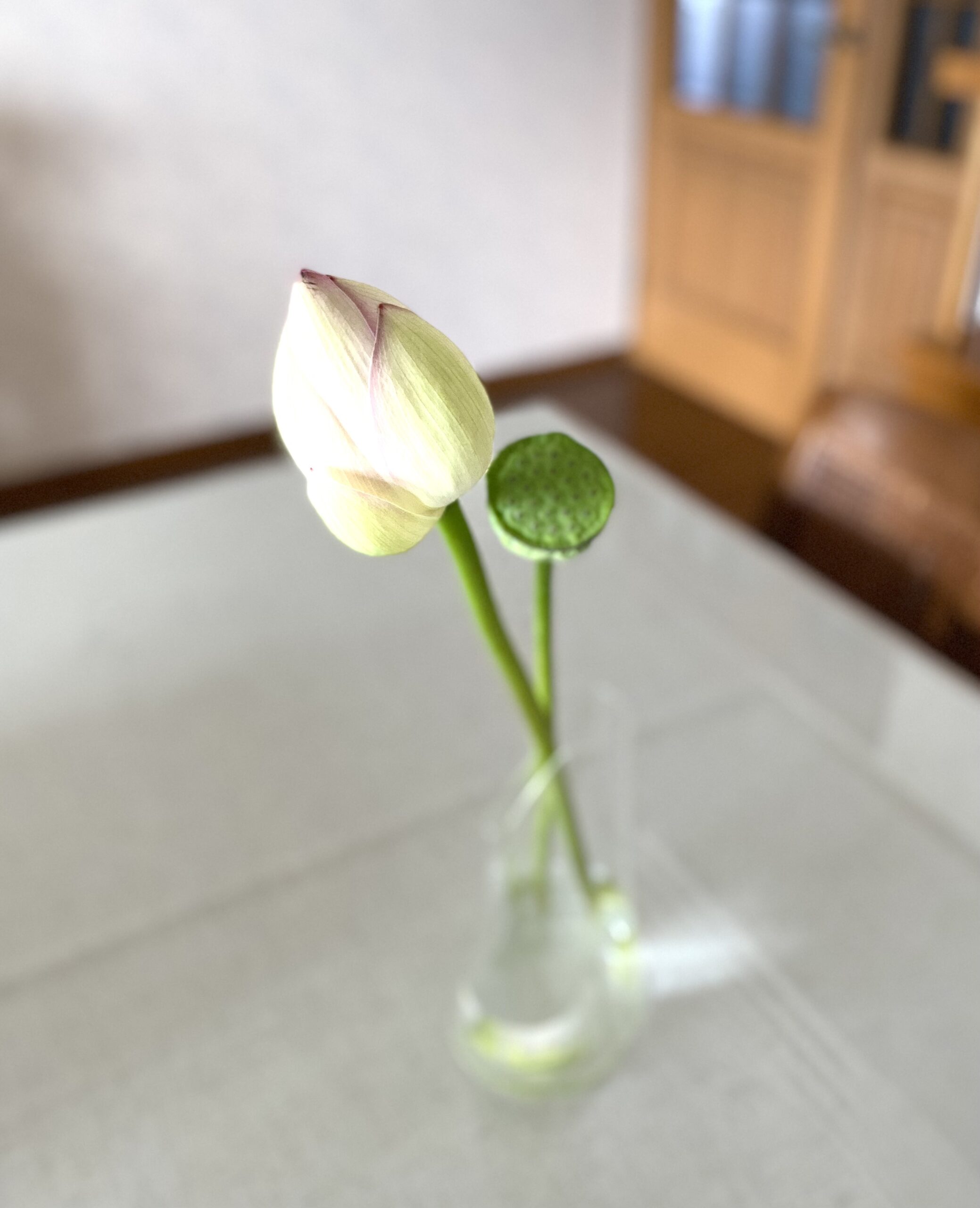 すぐ先から・・