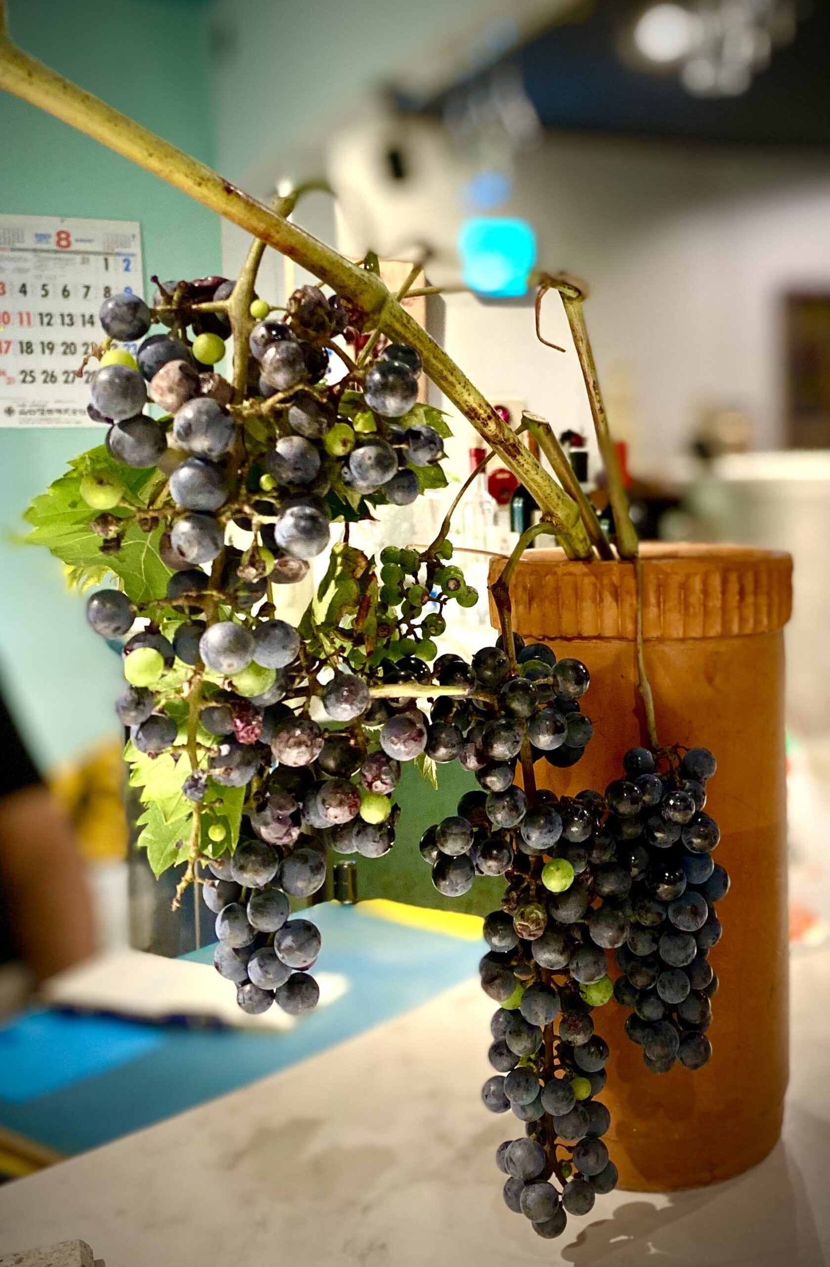 背景