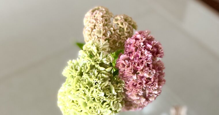 花と排水管