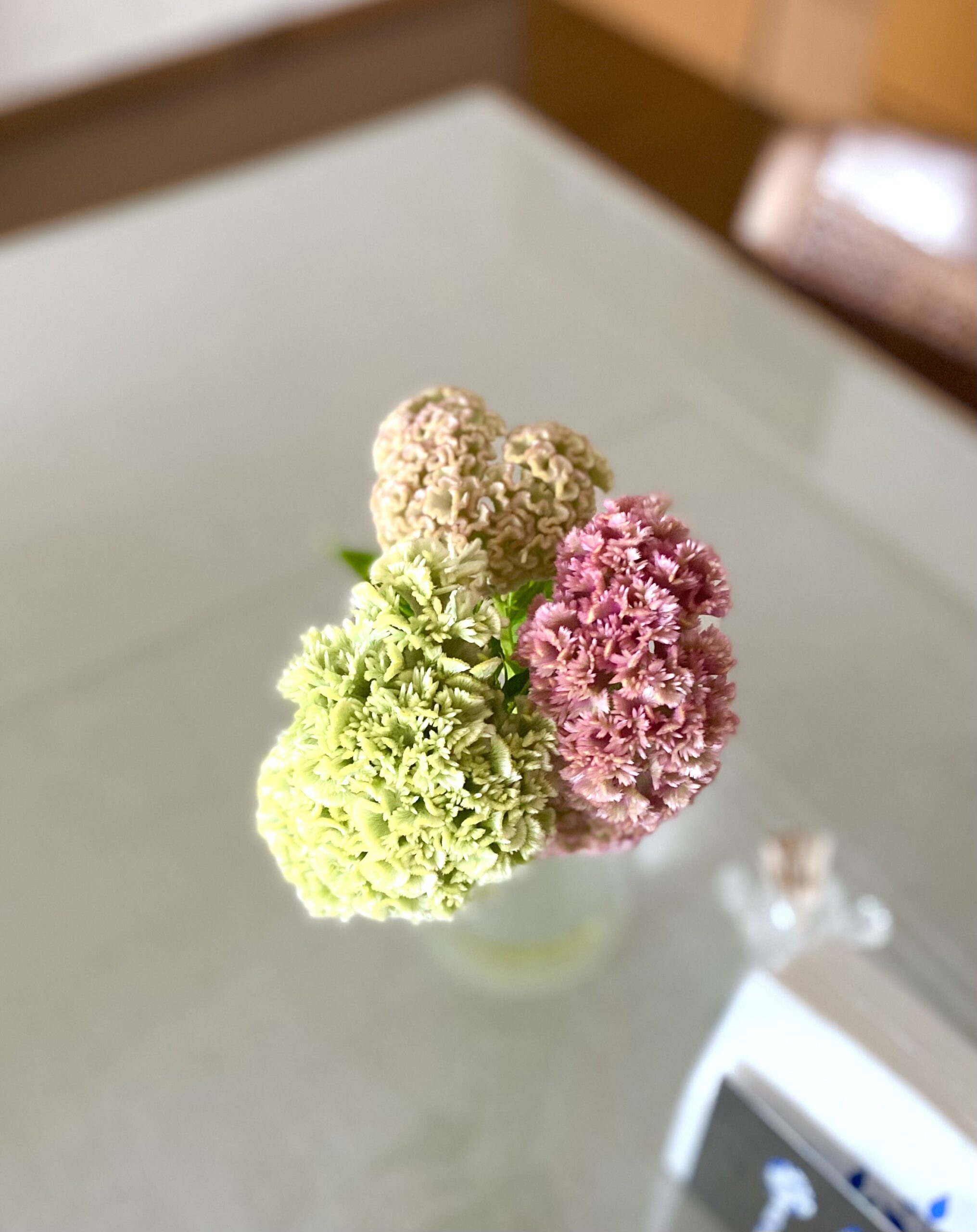花と排水管