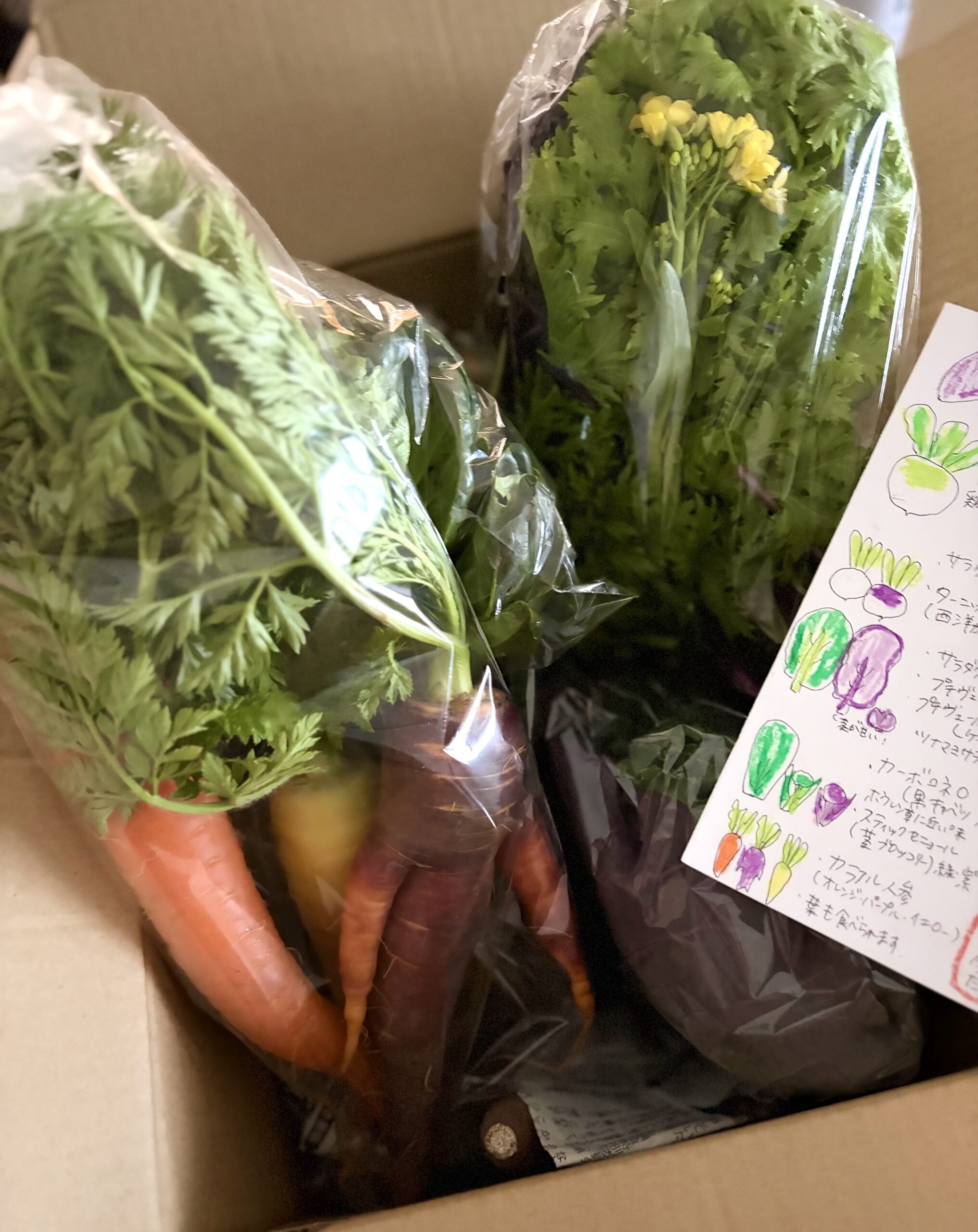 たとえお尻に火がついても💦