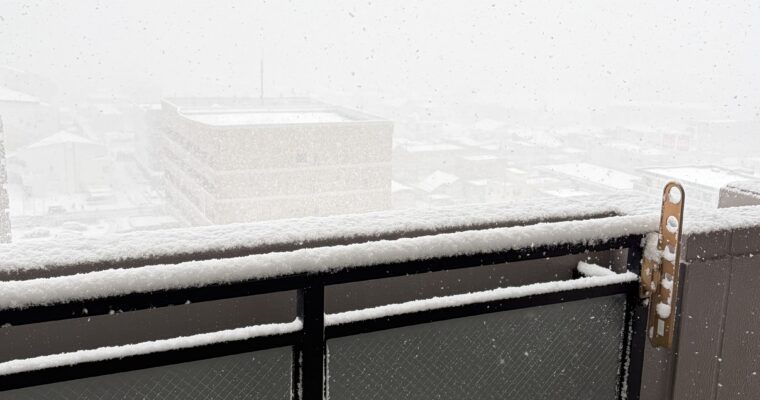 違うのに同じ。