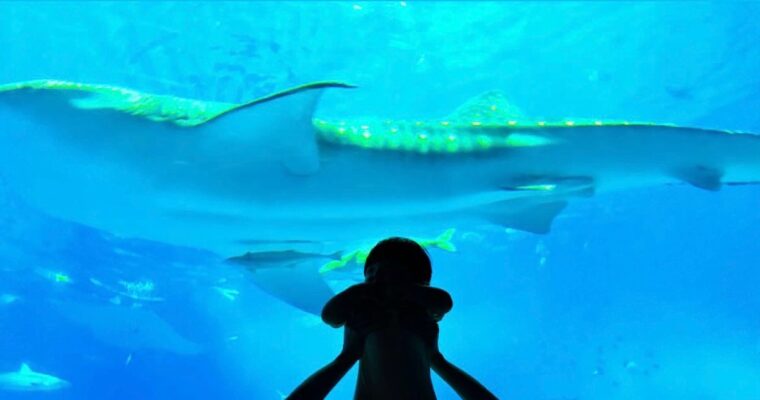 お父さんの匂い？^^