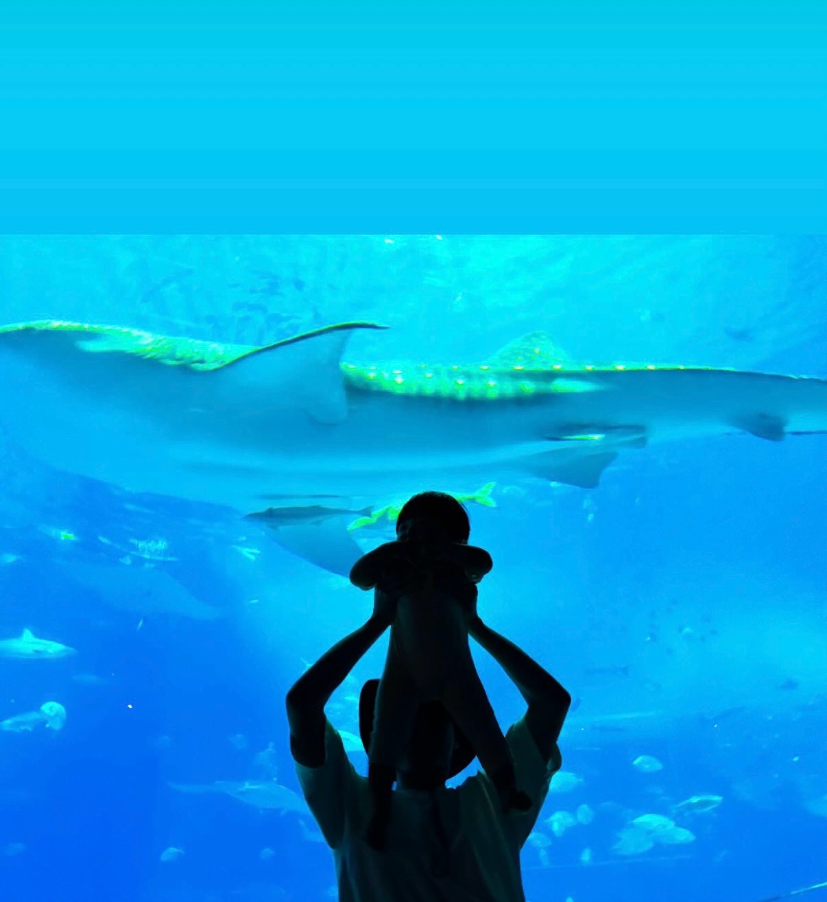 お父さんの匂い？^^