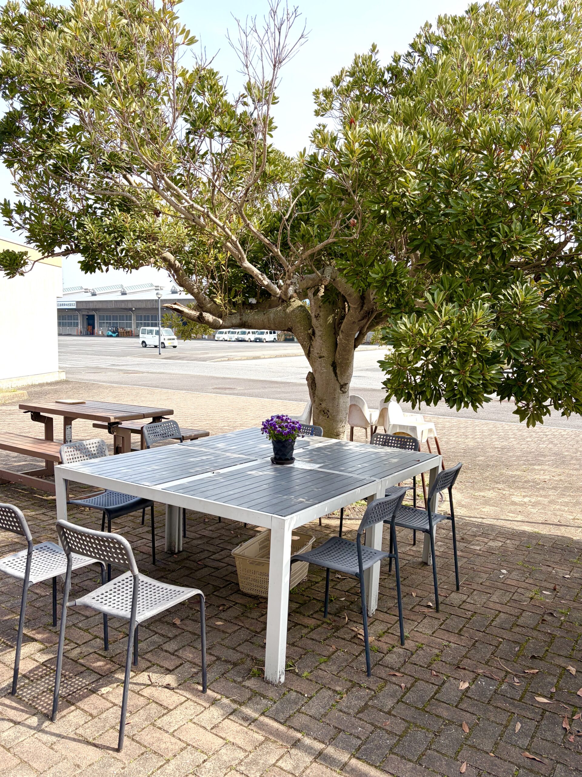 娘家族と過ごす日の記録。