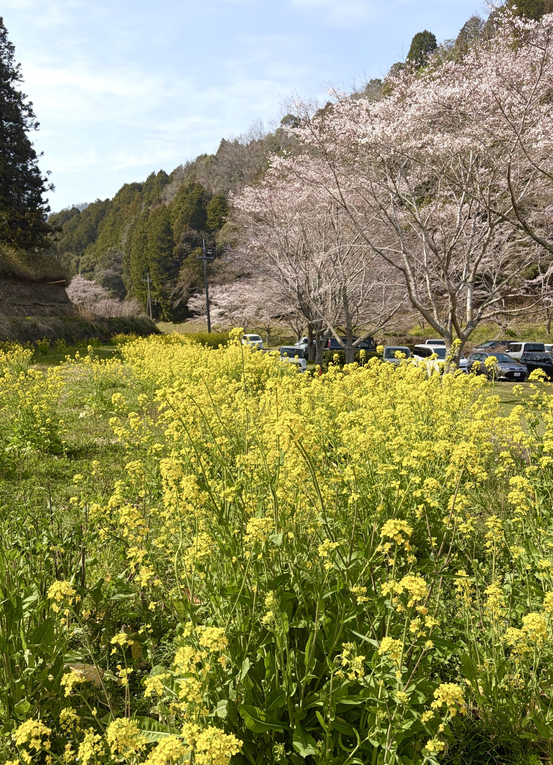 娘家族と過ごす日の記録・２