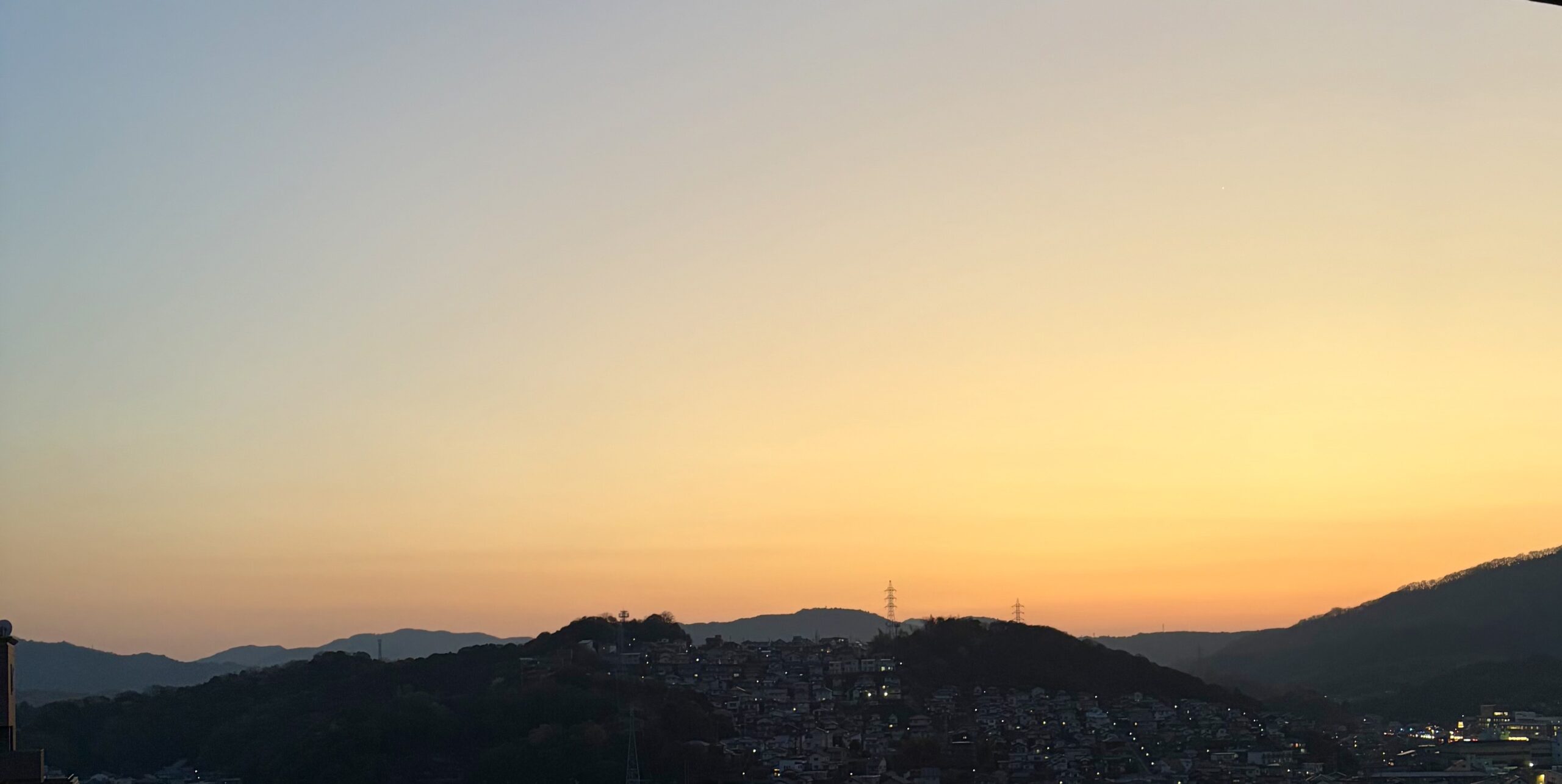 バラ色かぁ・・