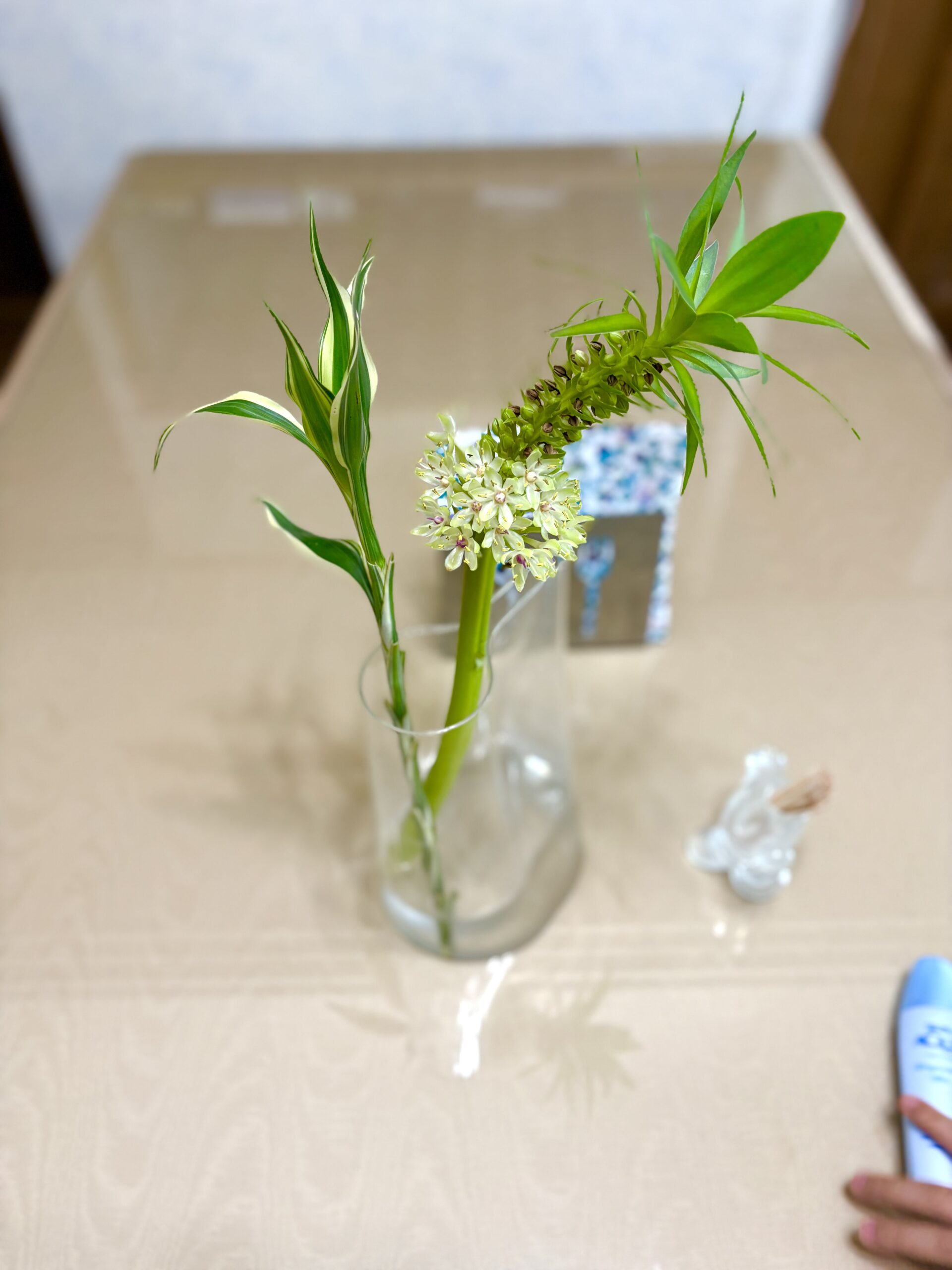 「いつも」に戻れない^^;