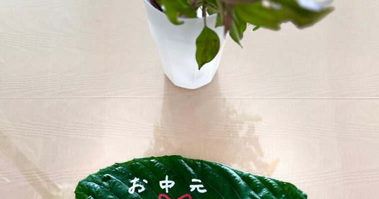 綺麗ごと