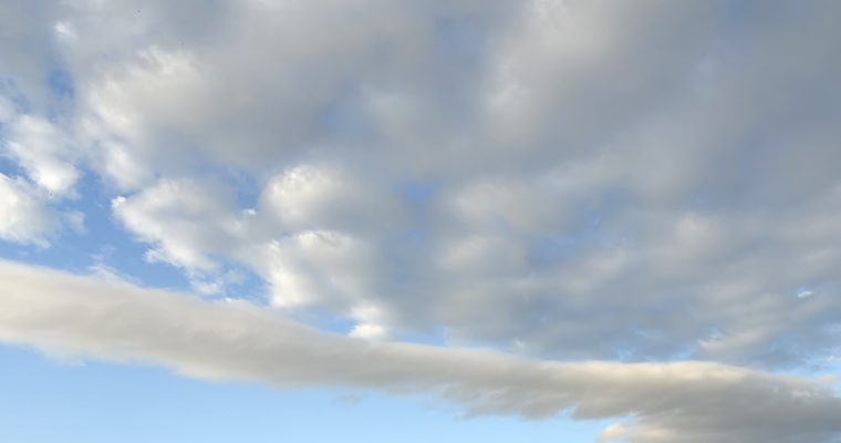 機嫌