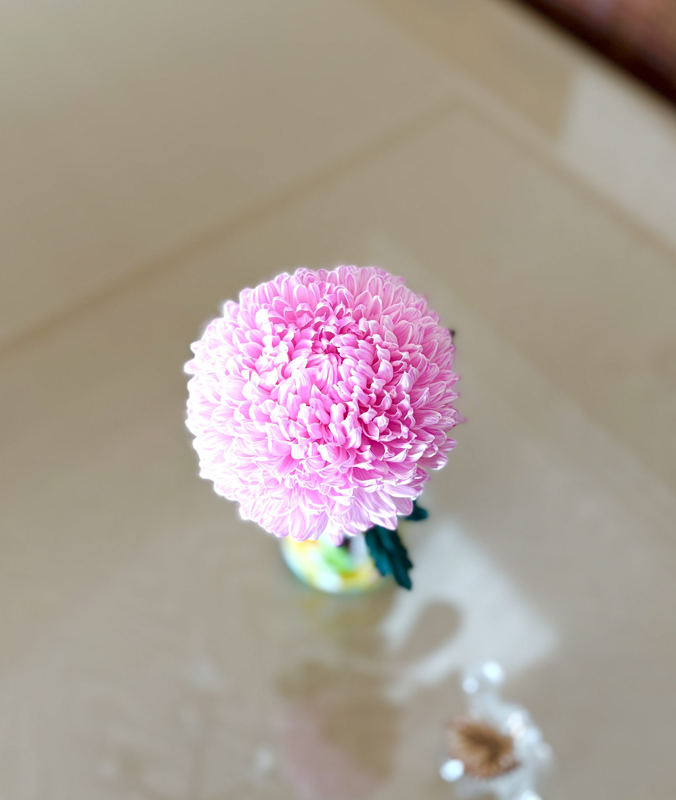 「花の首飾り」が最初だった